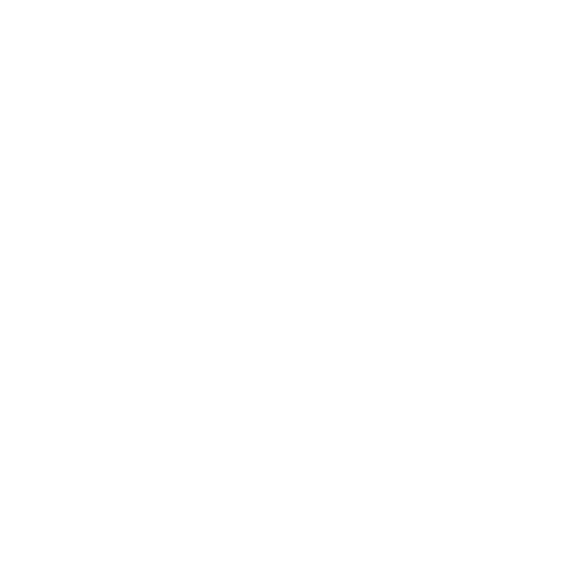 Shopify Website