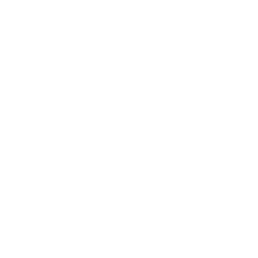 Wordpress Website